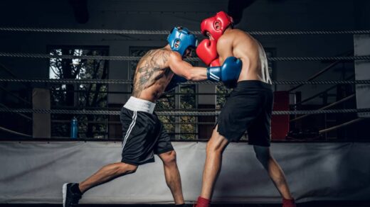 SFFareboxing Schedules by SportsFanfare